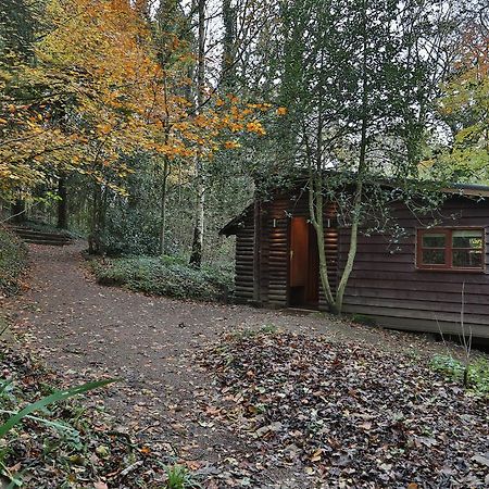 Pinetum Lodge Gloucester Habitación foto