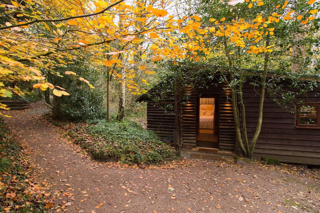 Pinetum Lodge Gloucester Habitación foto